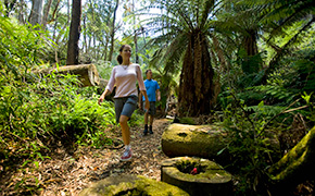 _R5Y3352 Bushwalking Grampians National Park